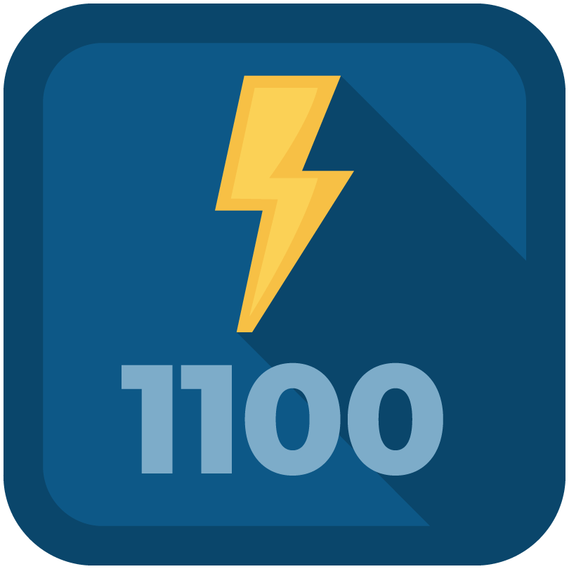 blitz 1100 badge