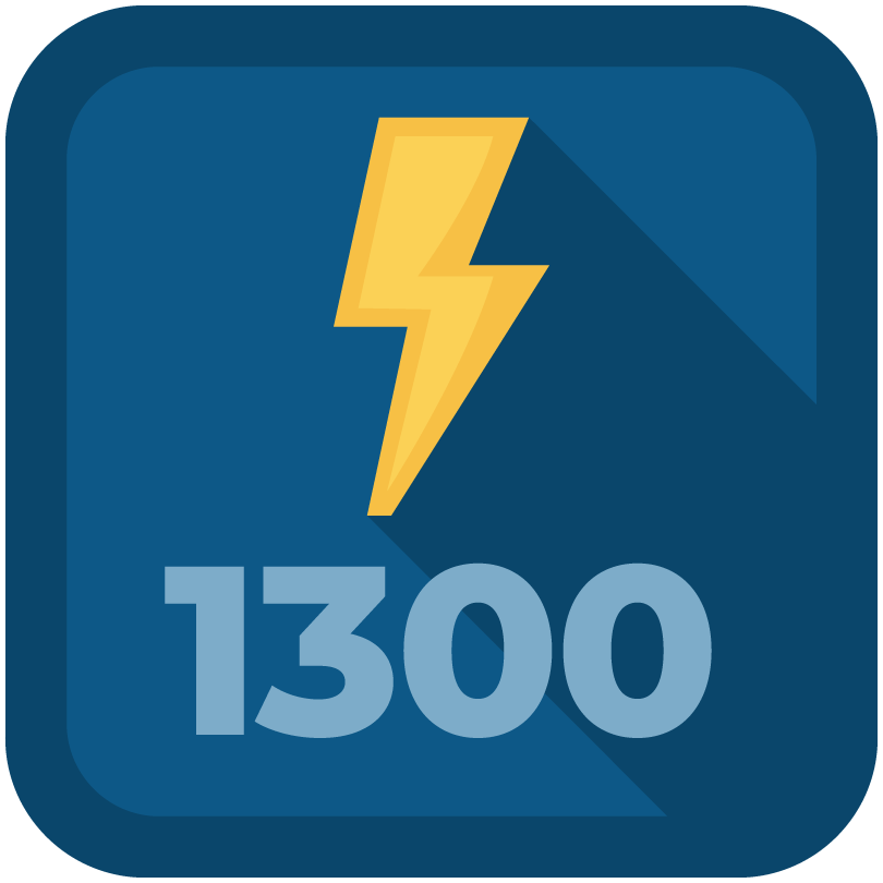 blitz 1300 badge